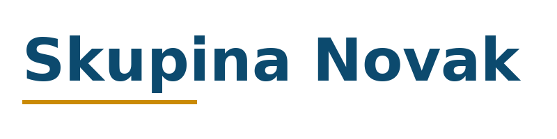 Skupina Novak logo